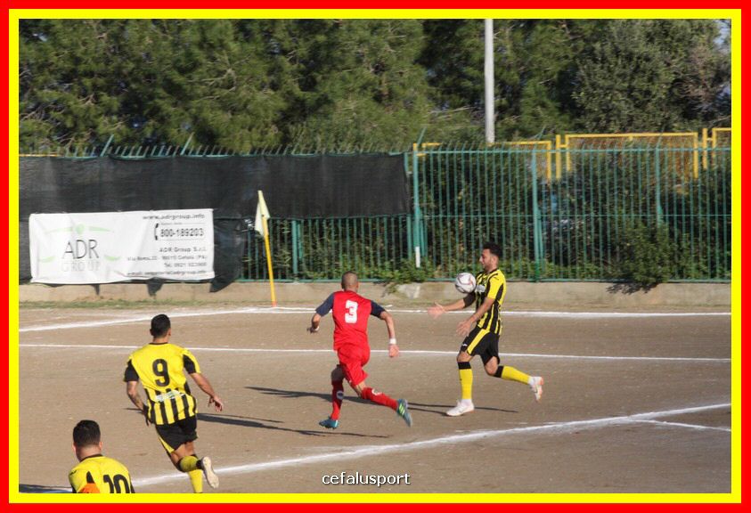 181111 Cepha_Milazzo 109_tn.JPG